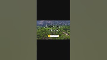 تلاوة حزینة بصوت حكيم محمد تقليد عبدالرحمن مسعد