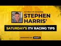 Stephen Harris's Expert Horse Racing Tips for Saturday, November 1st π