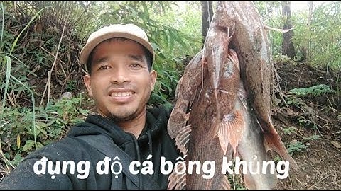 Quay trở lại thăm lơ cá không lồ #châmpichvlog