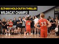 ELTHAM ARE CHAMPS! Wildcats hold of Spectres in Championship Game