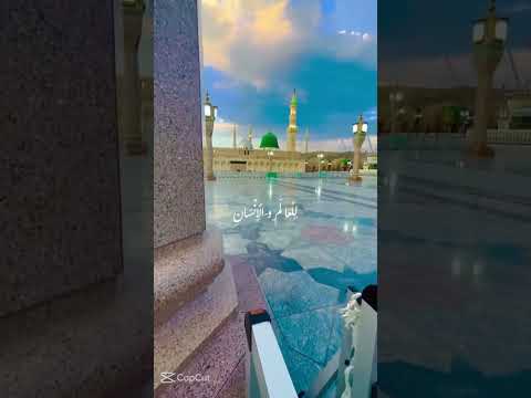 الصبر هو القدرة على تحمل الشدائد والتحديات اكسبلور العظماء الظروف الصلاة الرحمن المصحف