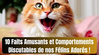 10 Faits Amusants et Comportements Discutables de nos Félins Adorés ! by LES ANIMAUX DE COMPAGNIE  149 views 2 weeks ago 6 minutes, 11 seconds