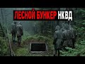 ЛЕСНОЙ БУНКЕР НКВД: Что скрывали металлические двери под Уралом?