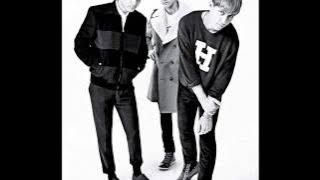 The Drums - What We Had (with Lyrics)