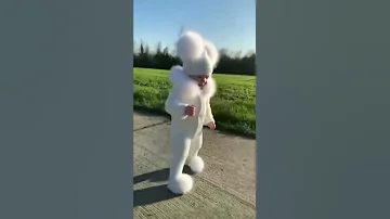 شفت الفأر السندق Shorts 