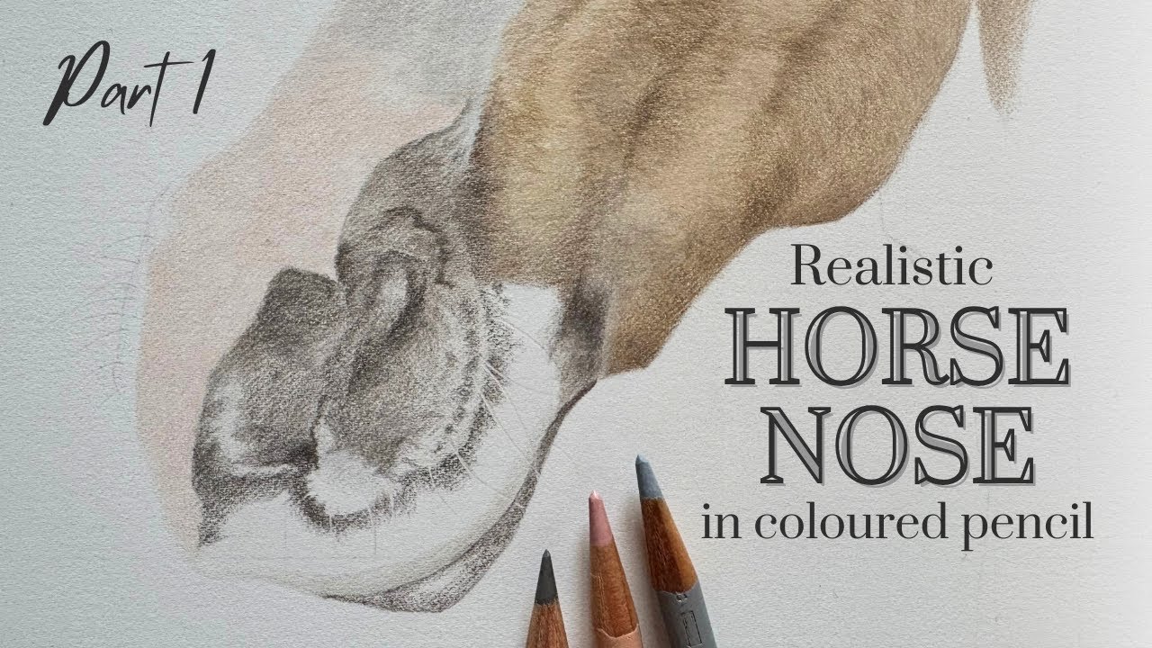 How to Draw a Realistic Horse Nose in Coloured Pencil | Real Time Tutorial | Part 1