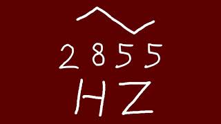 2855 hz triangle