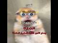 تحدي عدم الضحك مع مقاطع عشوائية الجزء ال17 #تريد_تضحك_تابع_توته #اكسبلور #توته #ضحك #funny #explore