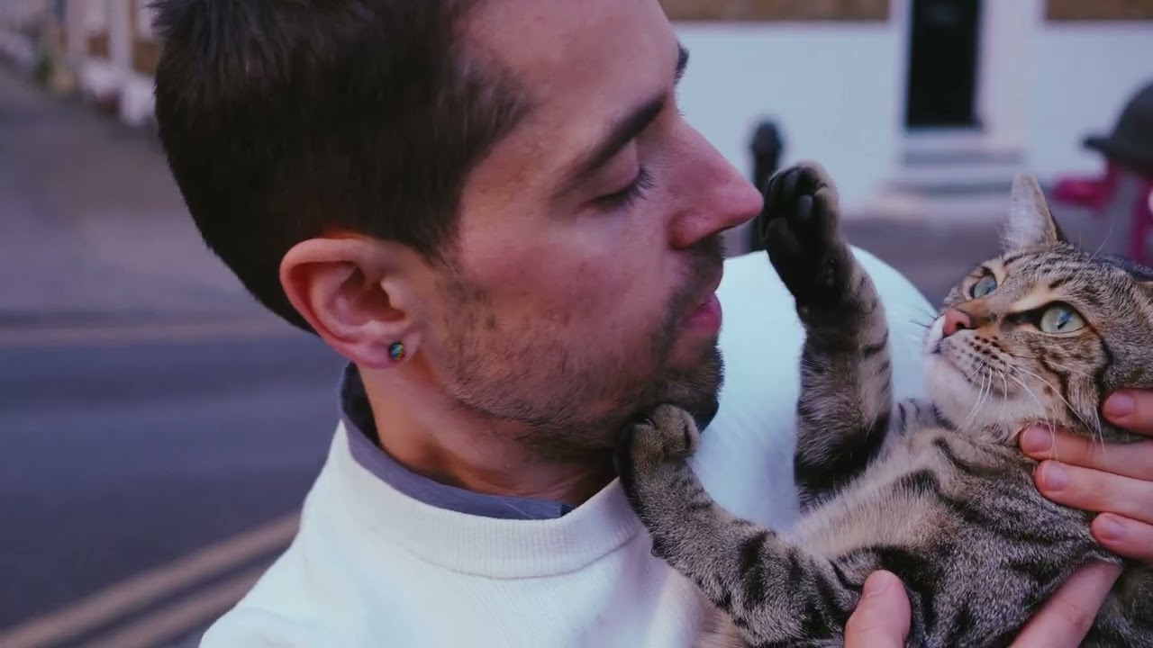 Lost cat found with Pawfit Lite | Pawfit Lite for Cats GPS Tracker