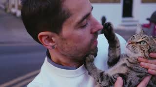Lost cat found with Pawfit Lite | Pawfit Lite for Cats GPS Tracker