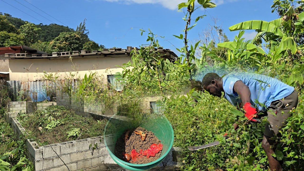 Bushing down my brothers house foundation for free,turning it into my own little garden 