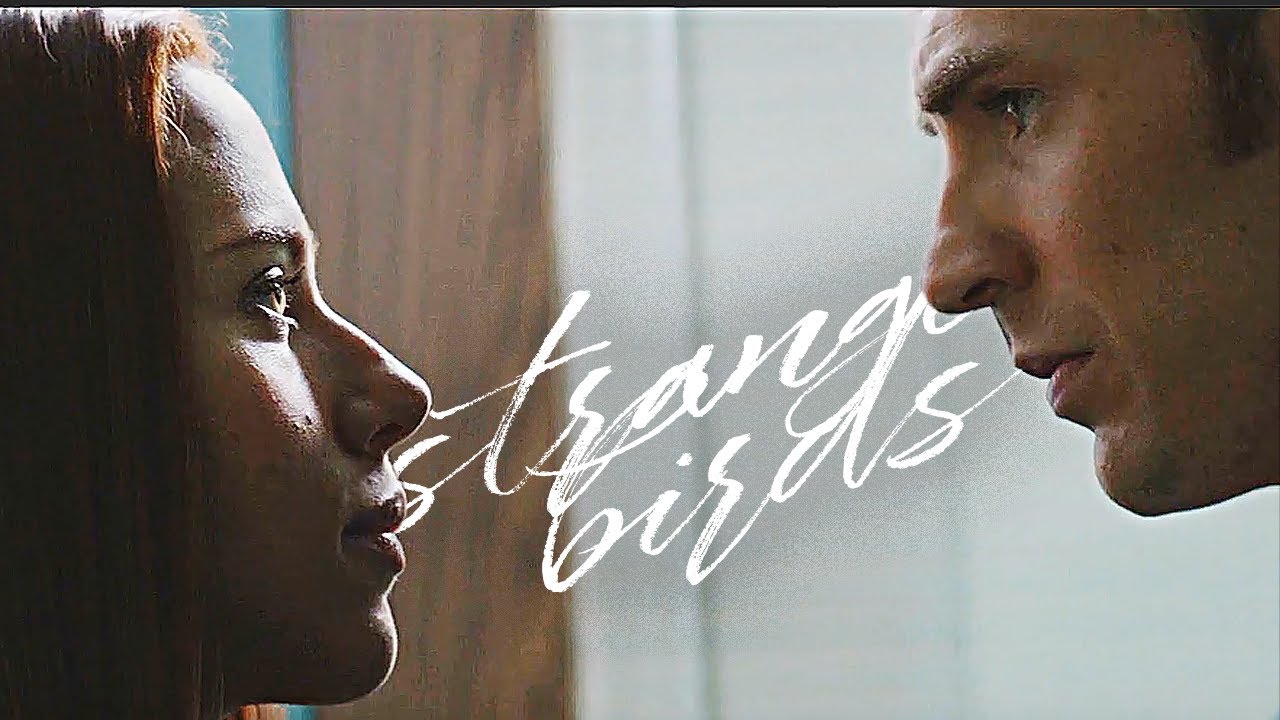 Steve & Natasha | Strange Birds