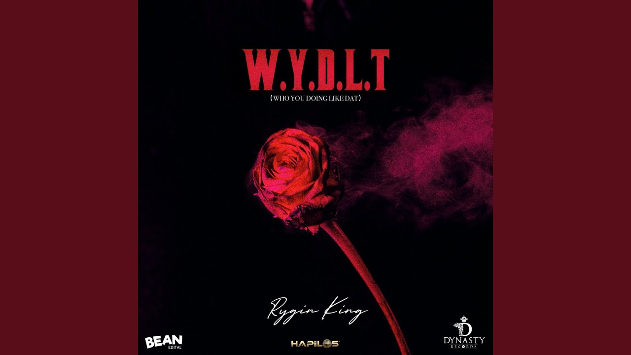W.Y.D.L.T (Who You Doing Like That)