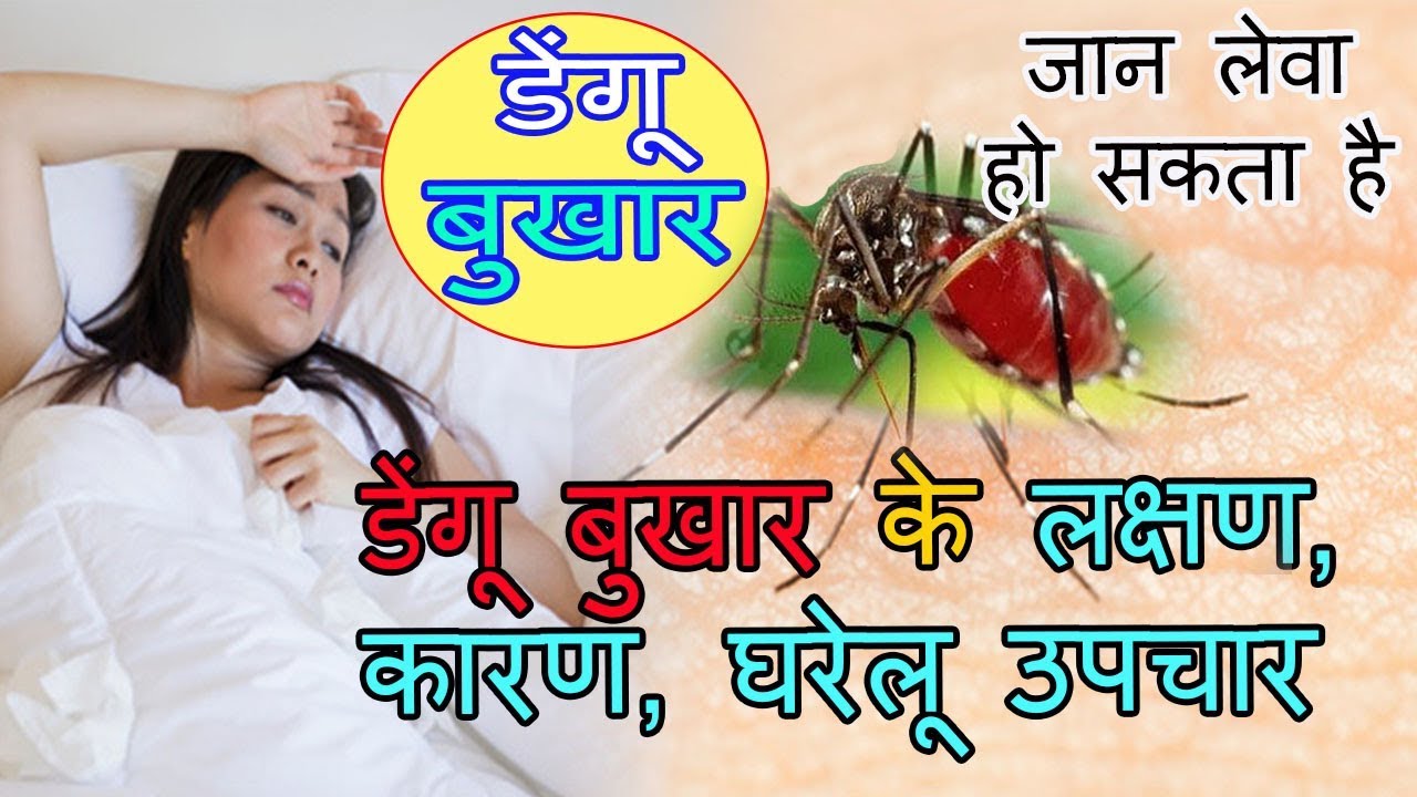 डेंगू बुखार के लक्षण, कारण, घरेलू उपचार || (Home Remedies for Dengue