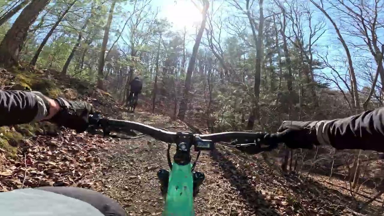 Shenandoah River #1 Feb 2026