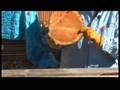 Preparing a Bowl Blank for Woodturning : Bad Wood for Woodturning Preparing a Bowl Blank for Woodturning : Bad Wood for Woodturning