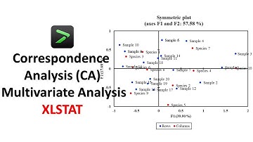 Exploring Correspondence Analysis (CA) | Multivariate Analysis | XLSTAT