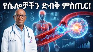በየቀኑ ድካም ይሰማሃል? መነሻው Insulin Resistance ሊሆን ይችላል | TENA HOLISTIC screenshot 5