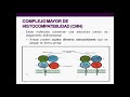 Introducción a la inmunología humana - Clase 5: CMH, TCR y BCR
