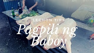Lechon Tips: Pagpili ng Baboy