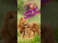 LUKWALA MANG OMBE UJUMBEMIKIKI LUKWALA MANG OMBE UJUMBEMIKIKI