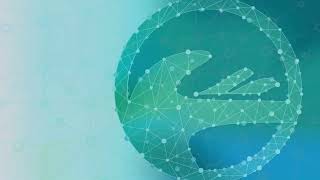 Famous How to use Database Wizard Options Data Store Profile