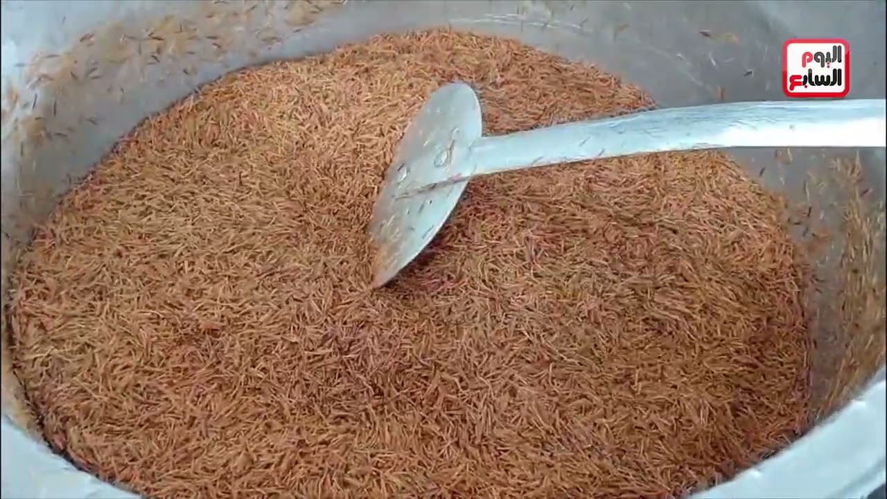 أستاذ جامعى يتلقى خبر ترقيته أثناء تقطيعه بصل وبطاطس بمائدة رحمن بكفر الشيخ