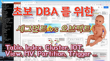 초보 DBA를 위한 세그먼트와 오브젝트 설명