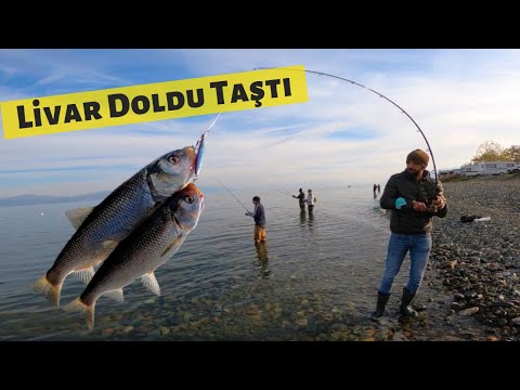 Kıyıdan At Çek Balık Avı. Balık Tutmaktan Kas Yaptık // fishinglife