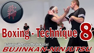 Bujinkan-Ninjutsu: Boxing Technique 8 Basics & Variations - Master Moshe Kastiel