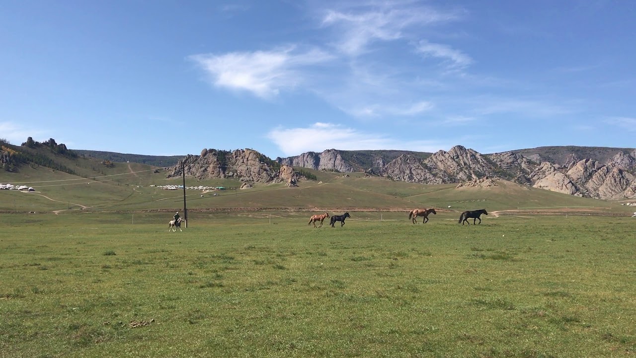 Travel in Mongolia: Mongolian Nomads Herding Horses - YouTube