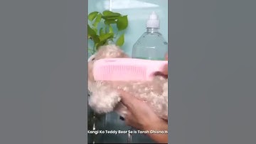 😱Science के अनोखे Experiments. #short#experiment #shortsfeed #shorts #science #facts #tricks