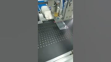 Automatic Bagging Machine Automatic Bagging Machine Premade Pouch Packing Machine OPP Self