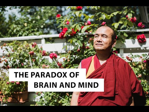 The Paradox of Brain and Mind | Geshe Dorji Damdul