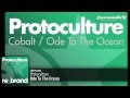 Protoculture - Ode To The Ocean (Original Mix)