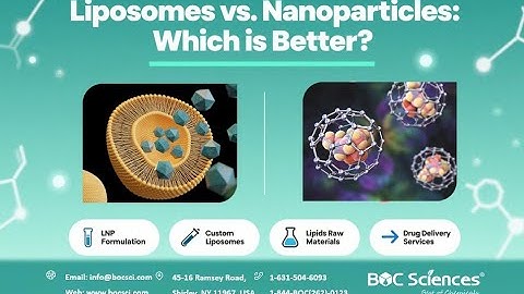 Liposomes vs. Nanoparticles: Which is Better? - BOC Sciences
