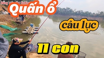 Quấn ổ 11 con buổi câu lục đầu tiên 2025