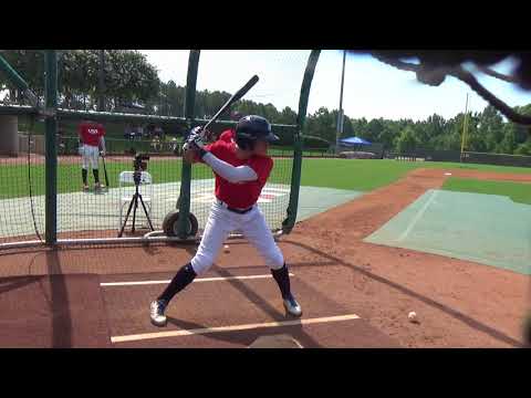 Video: Tutti I Motivi Per Vedere Un Gioco Di Allenamento Primaverile MLB A Clearwater, FL