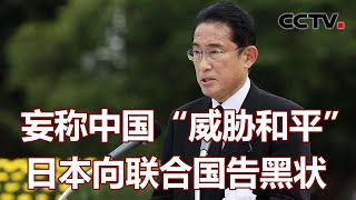 妄称中国“威胁和平” 日本向联合国告黑状 20220809 |《海峡两岸》CCTV中文国际