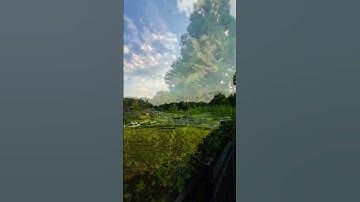 تلاوة هادئة 🌿