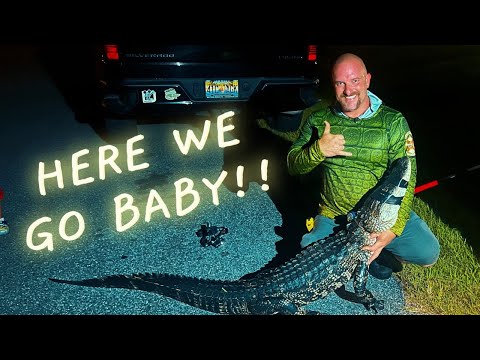 *Florida Family DANGER* | Nuisance Alligator Stalking Kids Playing In The Pool | DNA Outdoors