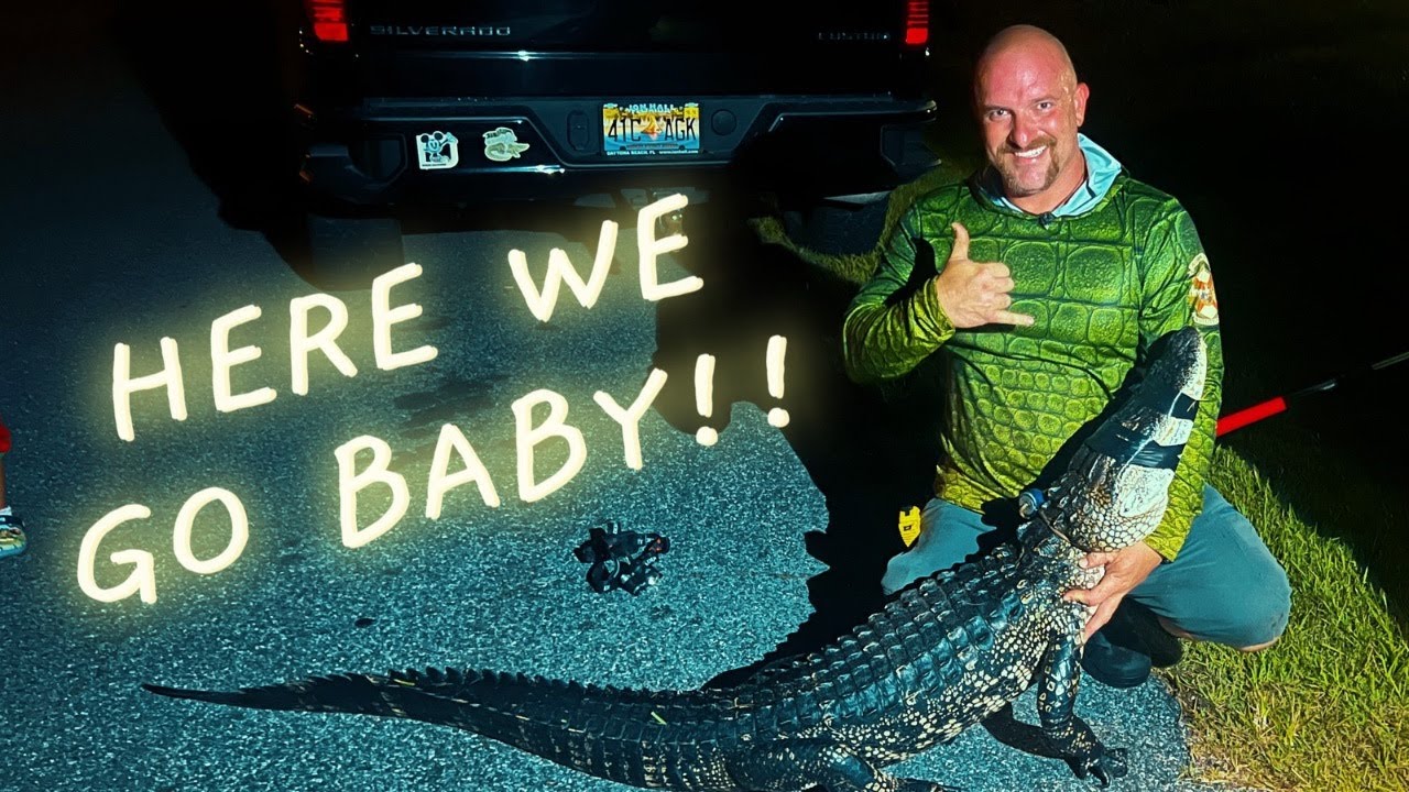 *Опасность для семьи во Флориде* | Назойливый аллигатор преследует детей, играющих в бассейне | D...