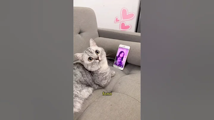 Watch the video about Lustful Kitten’s Bathing Troubles #cute #funny