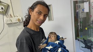 INJURED BABY MONKEY RESCUED