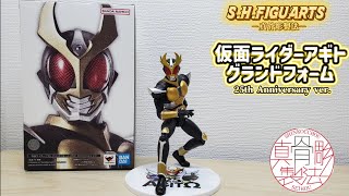 カッコいいね〜】S.H.Figuarts 真骨彫製法 仮面ライダーアギト