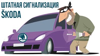 Штатная сигнализация SKODA, что это и защитит ли от угона?