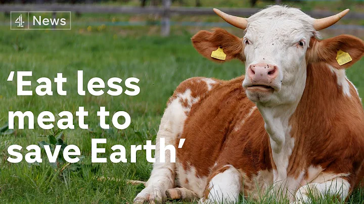 How climate crisis threatens world’s food supply and land