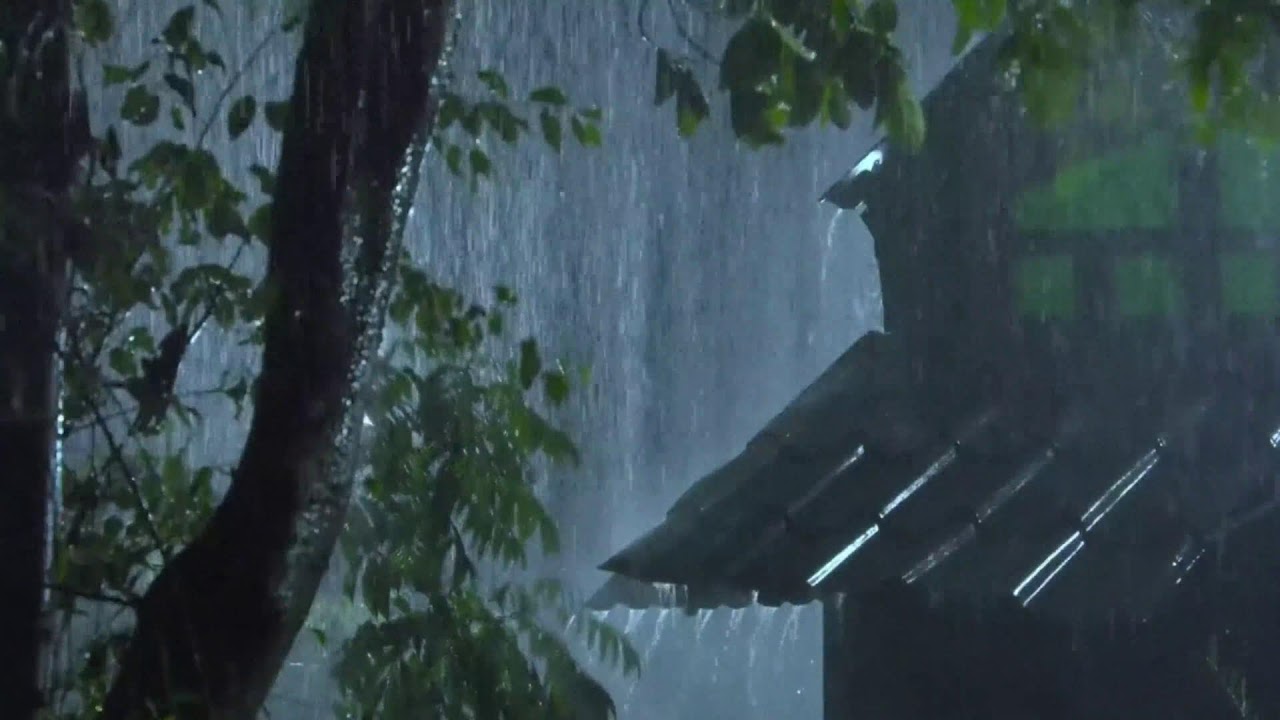 Tonights Secret: Fall Asleep FAST with Cozy Window Rain ASMR. Deep Sleep Guaranteed! 🌧️