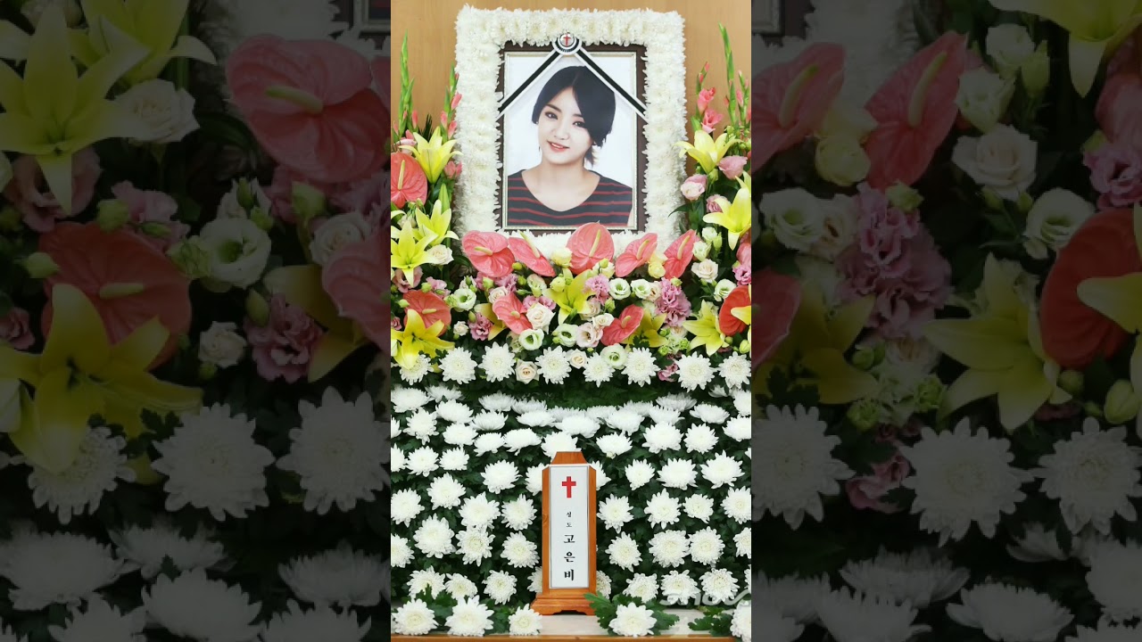 Kpop idol who died...