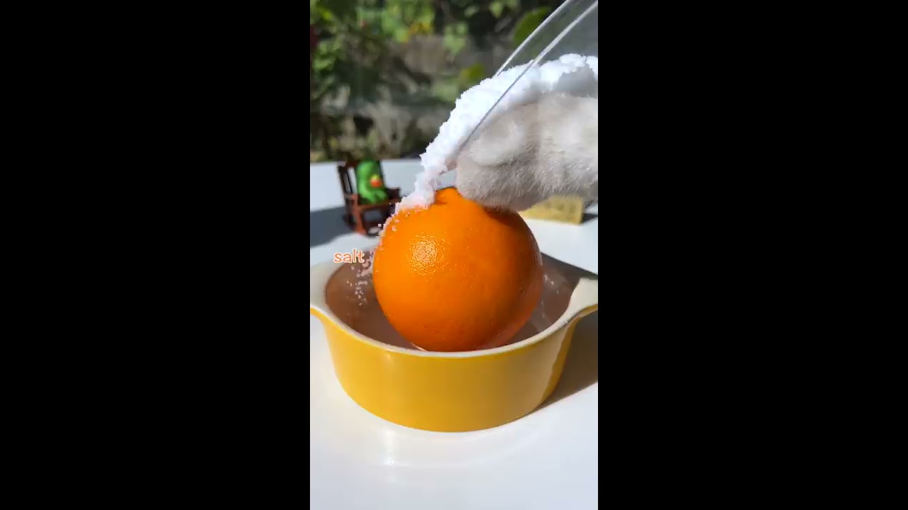 Chef Cat Cooking Christmas Orange Cookies Food CuteCatTikTok Shorts